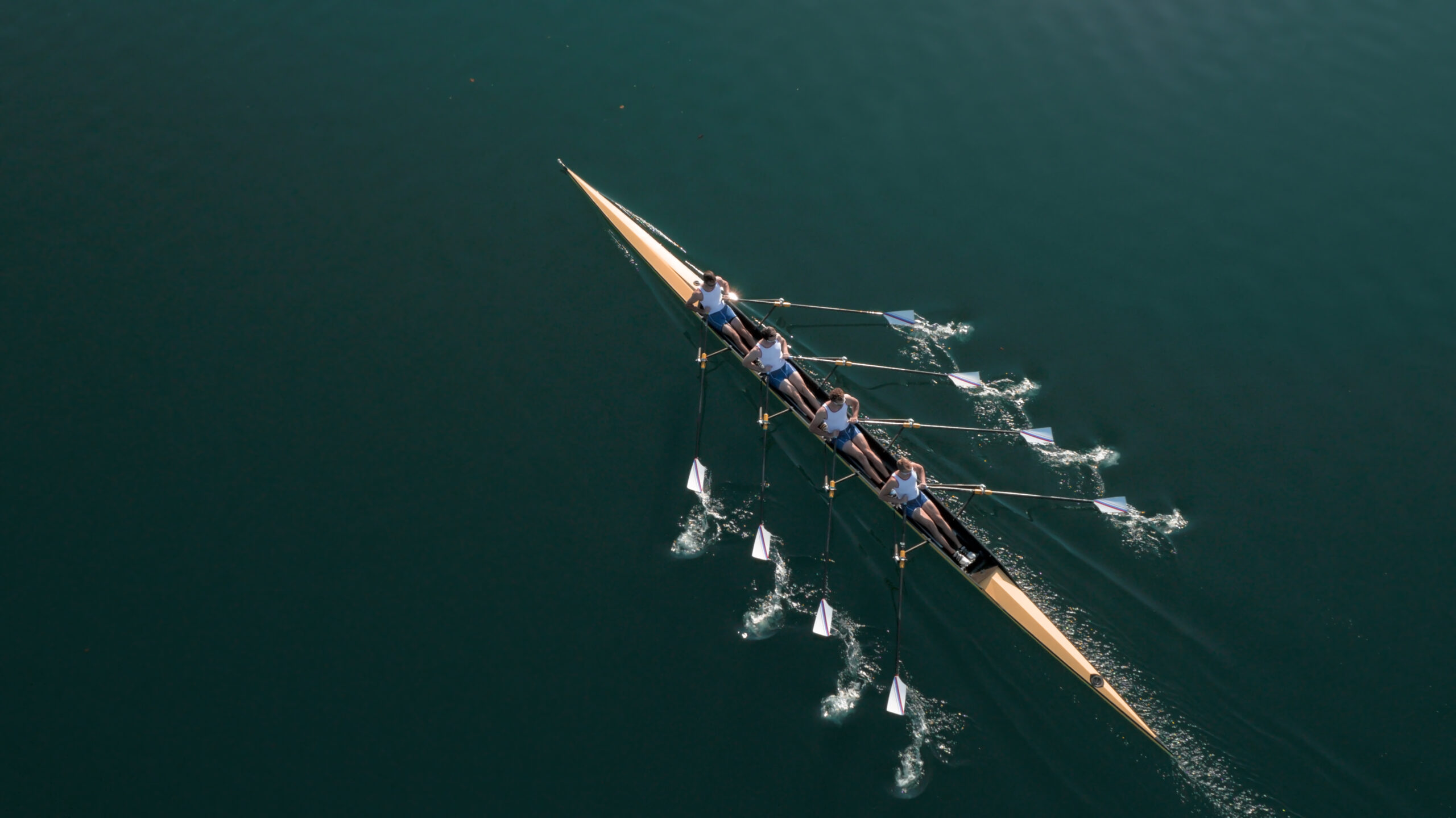 Four male athletes sculling on lake in sunshine